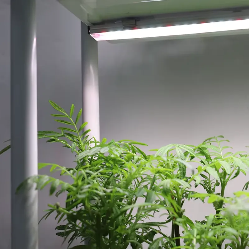 Self Watering Planter - نظام زراعة عمودي متحرك بثلاثة مستويات
