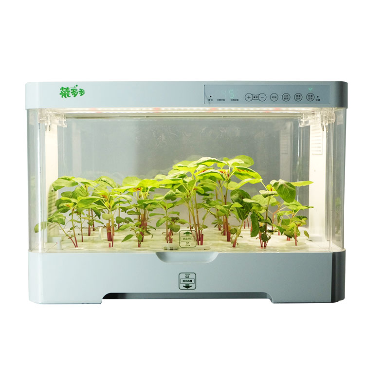 Hydroponic Kit - صندوق زراعة هيدروبونيك ذكي داخلي صغير