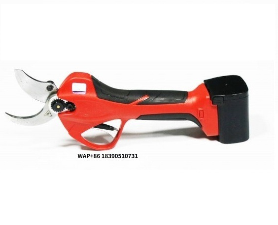 Pruning Shears - مقص حدائق كهربائي محمول من كينجسون