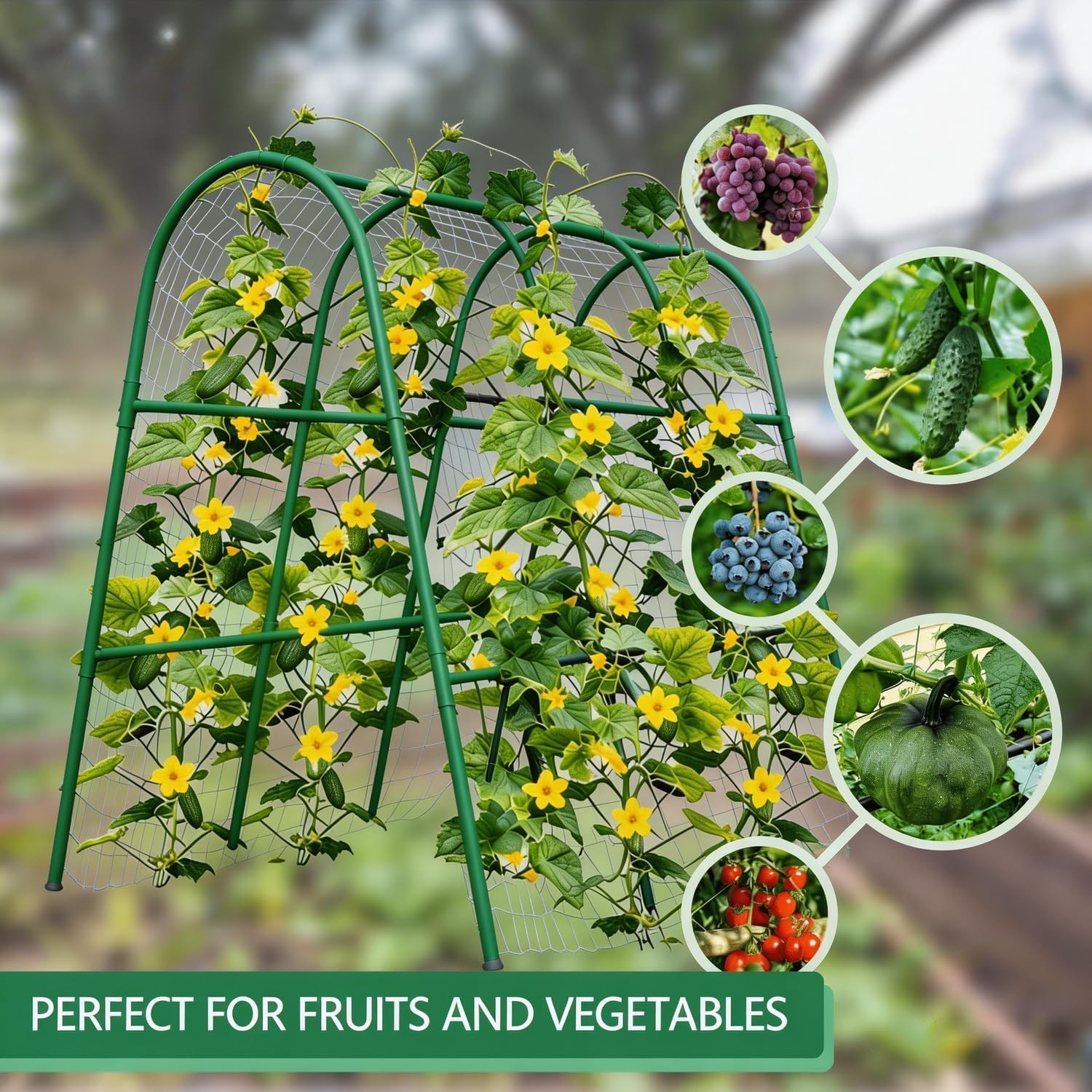 قوس حديقة معدني متين على شكل ح - مراجعة Raised Garden Bed وسعره