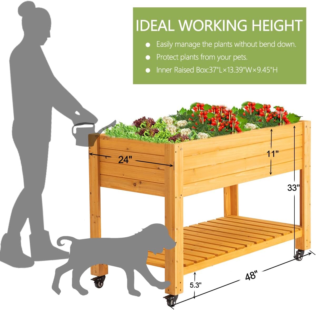 حوض زراعة خشبي متنقل مرتفع، طب - مراجعة Raised Garden Bed وسعره