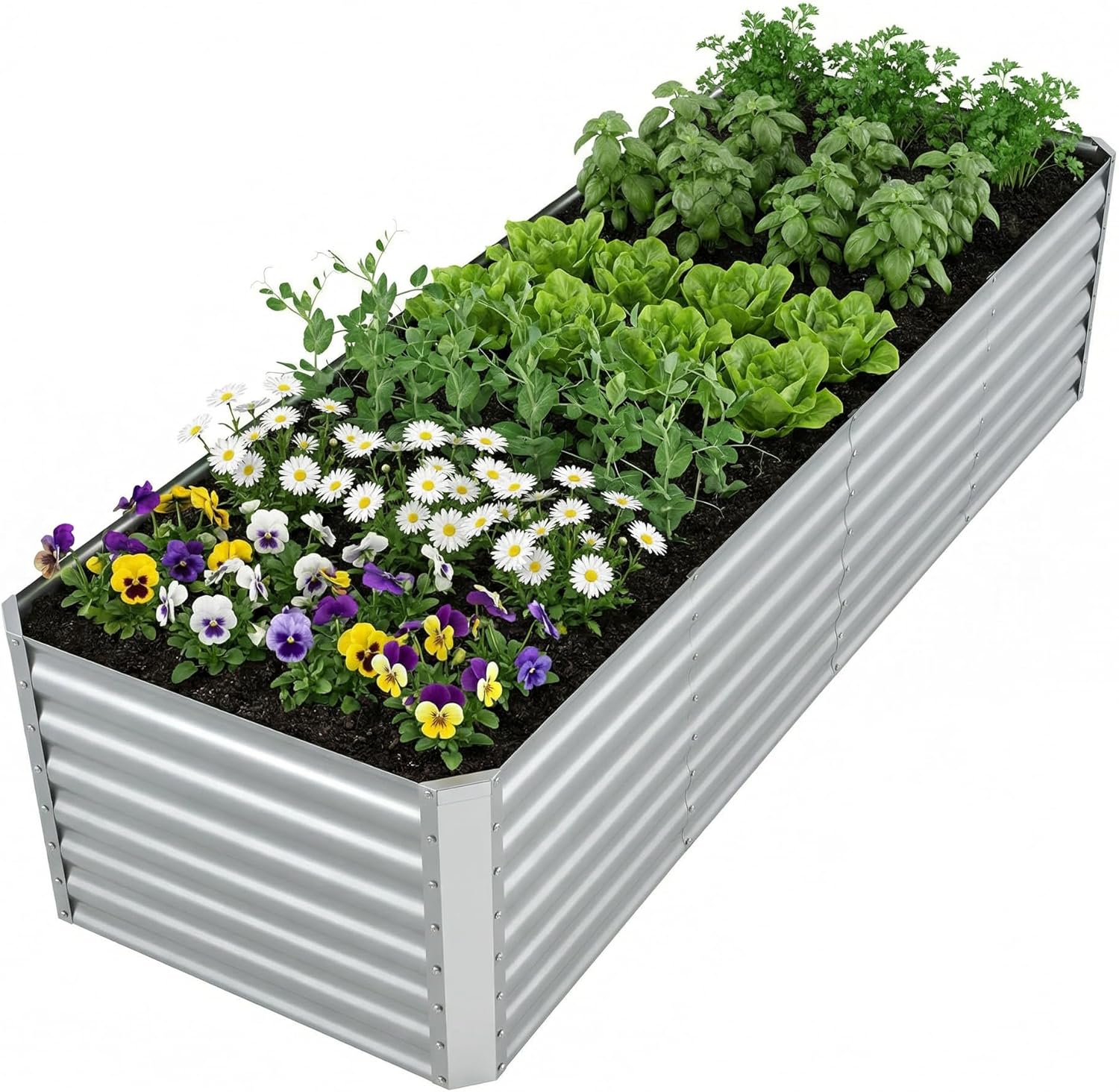 حوض زراعة معدني كبير مجلفن للا - مراجعة Raised Garden Bed وسعره