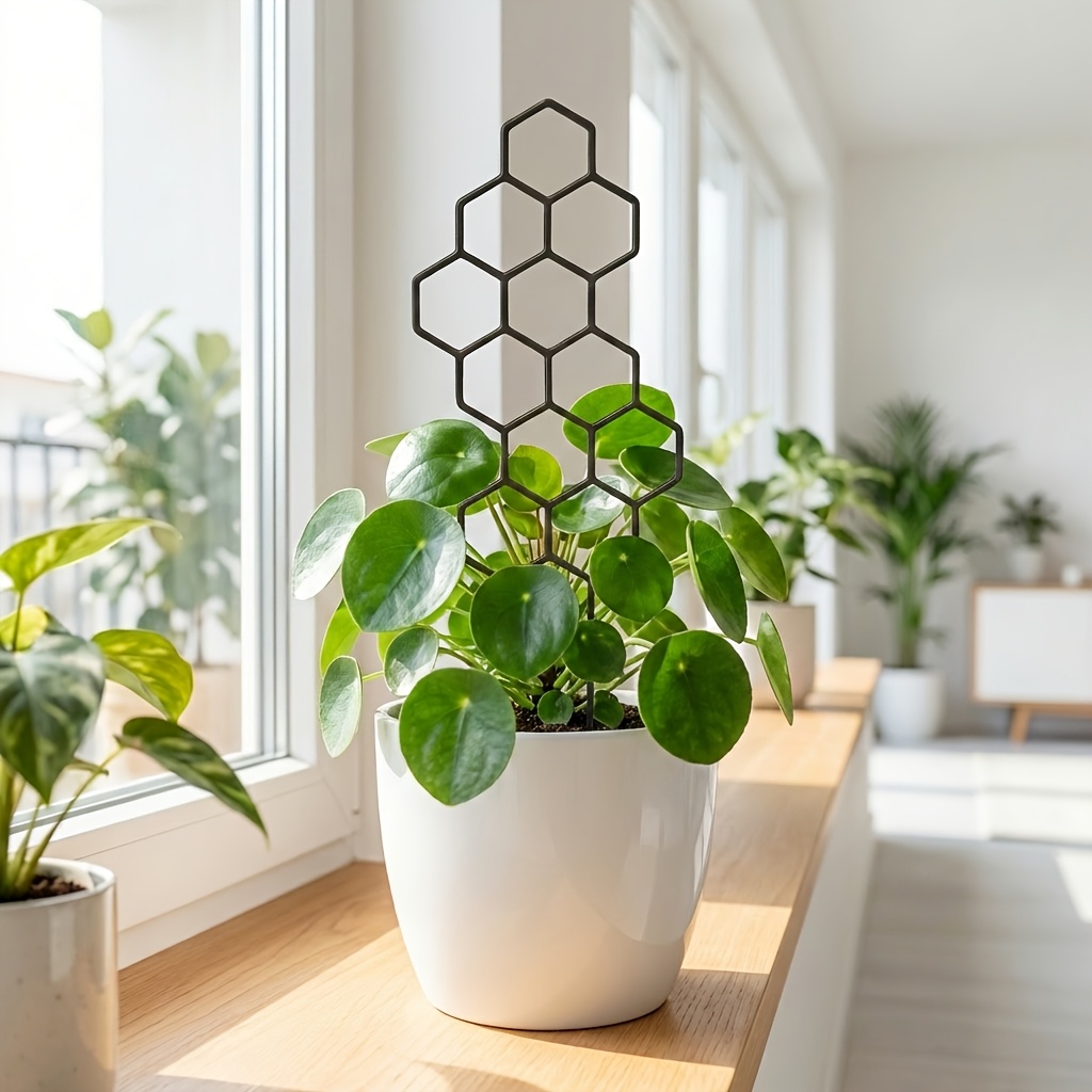 1/2 حزمة من دعامات النباتات ال - مراجعة Indoor Herb Garden وسعره