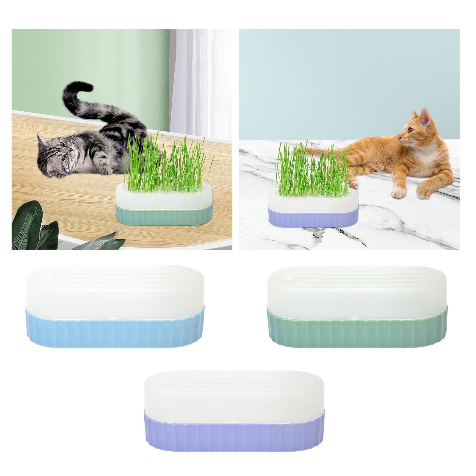 صينية لزراعة البذور مع فتحات ت - مراجعة Hydroponic Kit وسعره