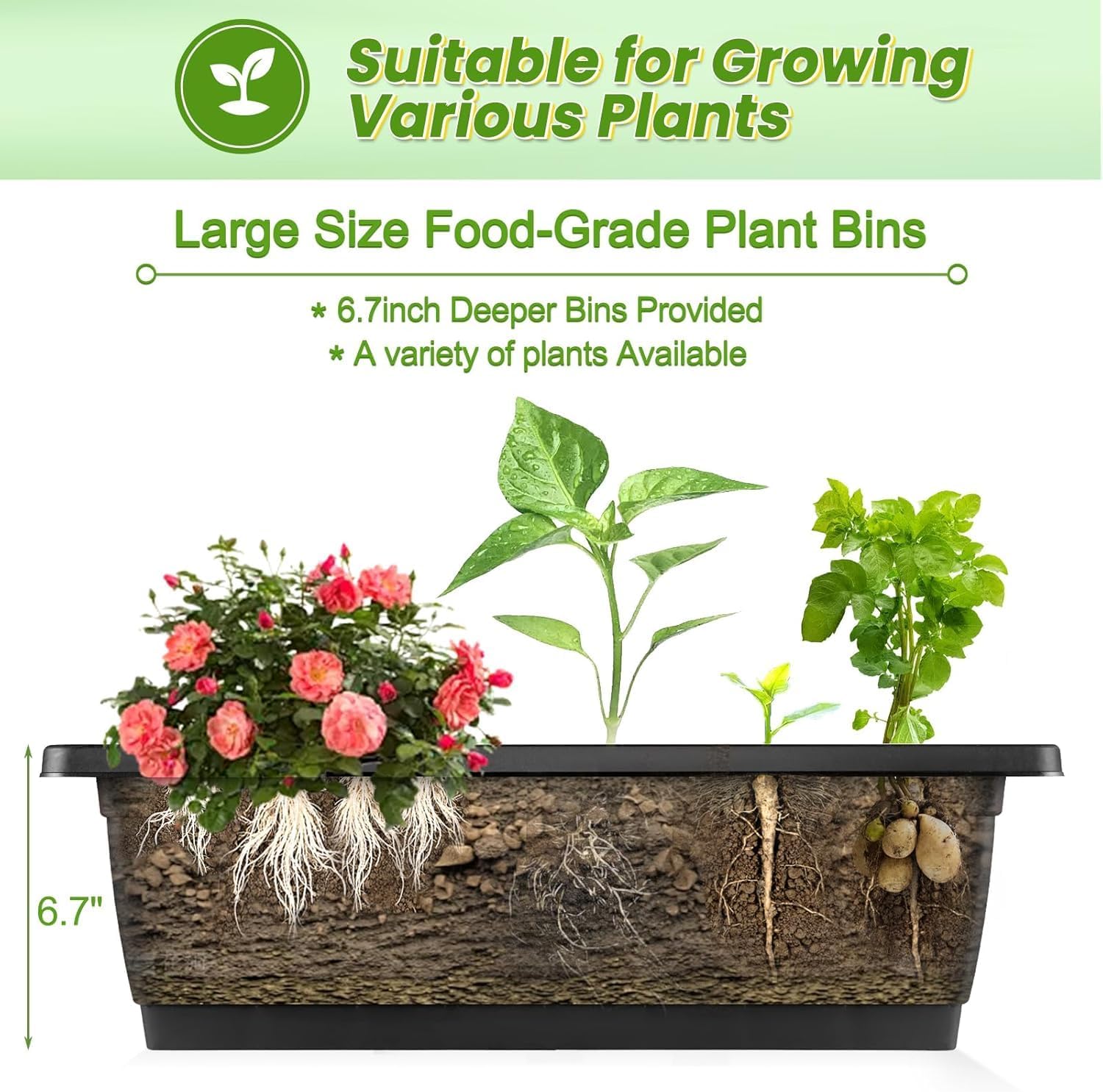 حوض زراعة عمودي مرتفع مزود بعج - مراجعة Indoor Herb Garden وسعره