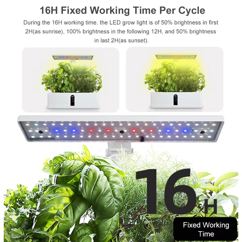 نظام زراعة مائية ذكي بـ 9 وحدا - مراجعة Hydroponic Kit وسعره