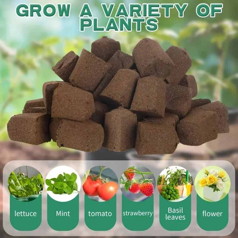مجموعة إسفنجية لبدء زراعة الشت - مراجعة Hydroponic Kit وسعره