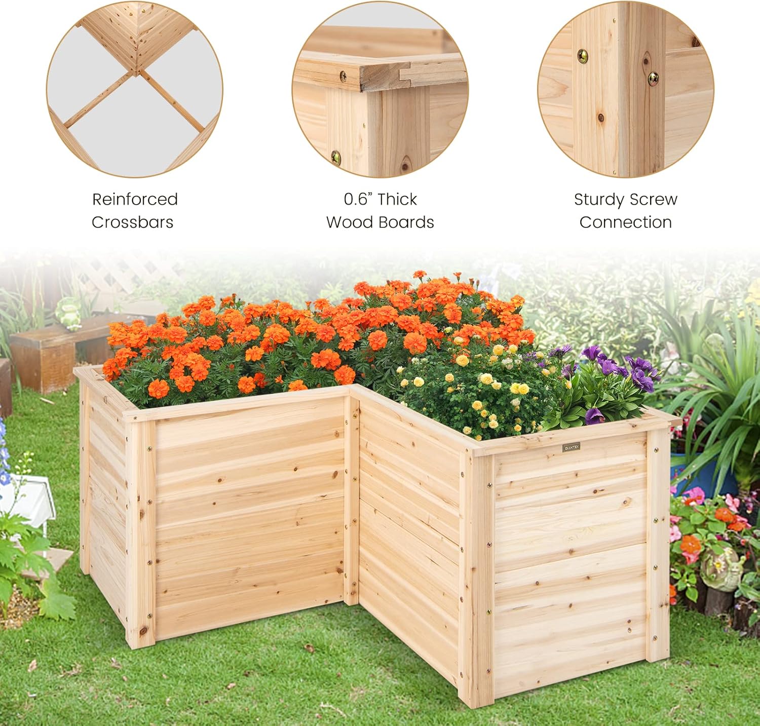 حوض زراعة خشبي صلب للاستخدام ا - مراجعة Raised Garden Bed وسعره