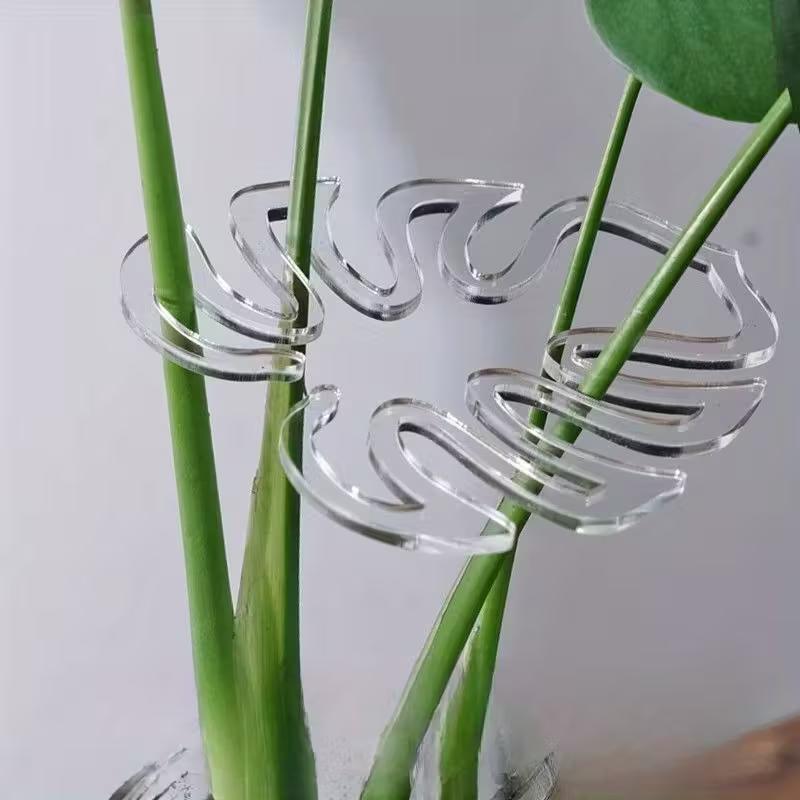 10 قطع من مشابك دعم النباتات ا - مراجعة Indoor Herb Garden وسعره