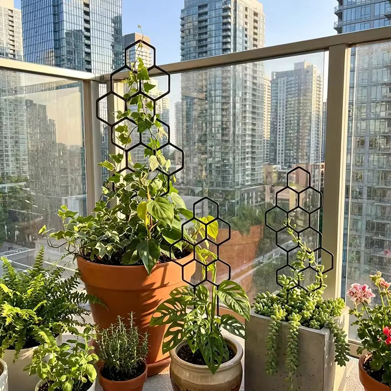 2/4 قطع دعامات نباتات بلاستيكي - مراجعة Indoor Herb Garden وسعره