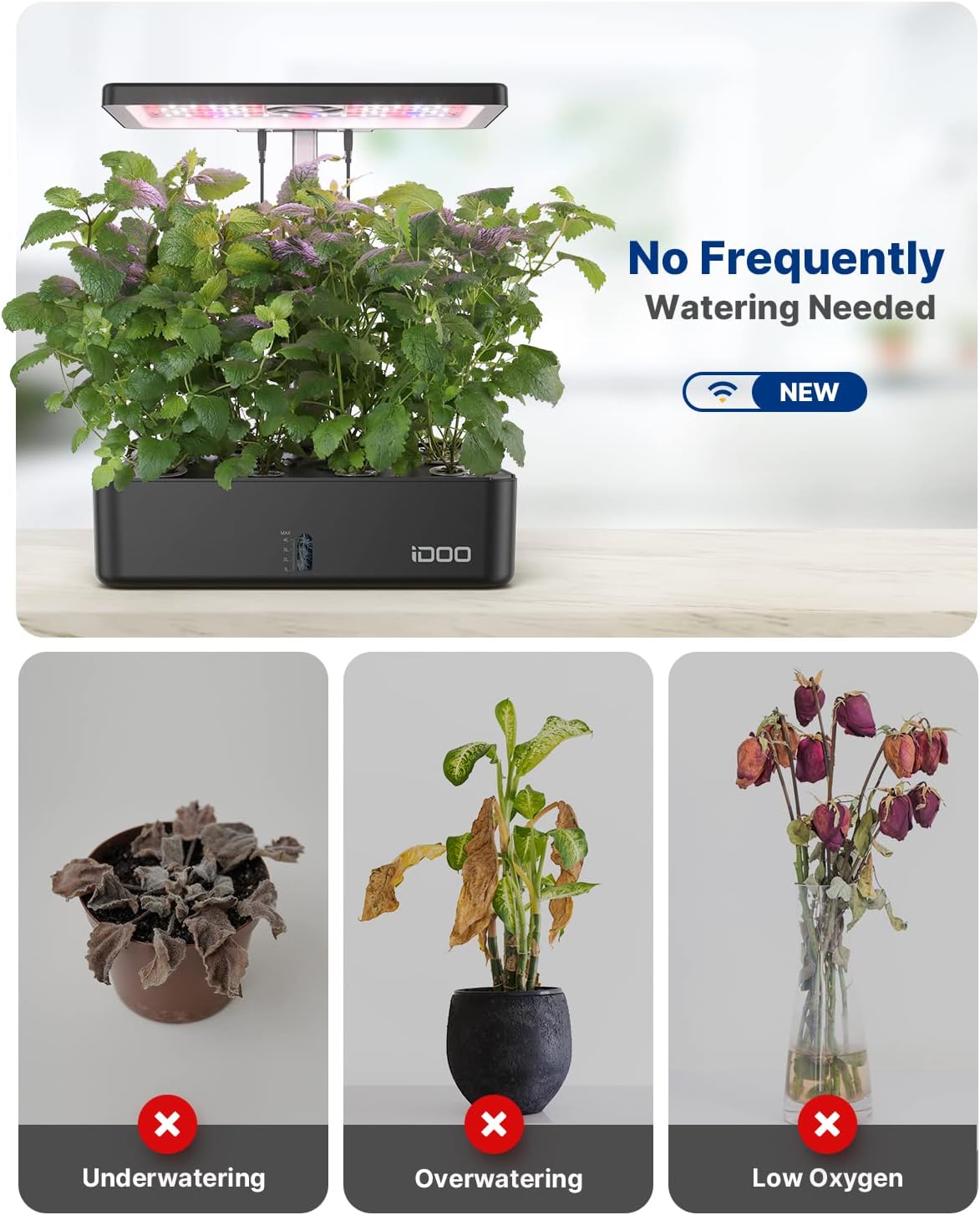 نظام زراعة مائية بـ 12 وحدة مع - مراجعة Hydroponic Kit وسعره