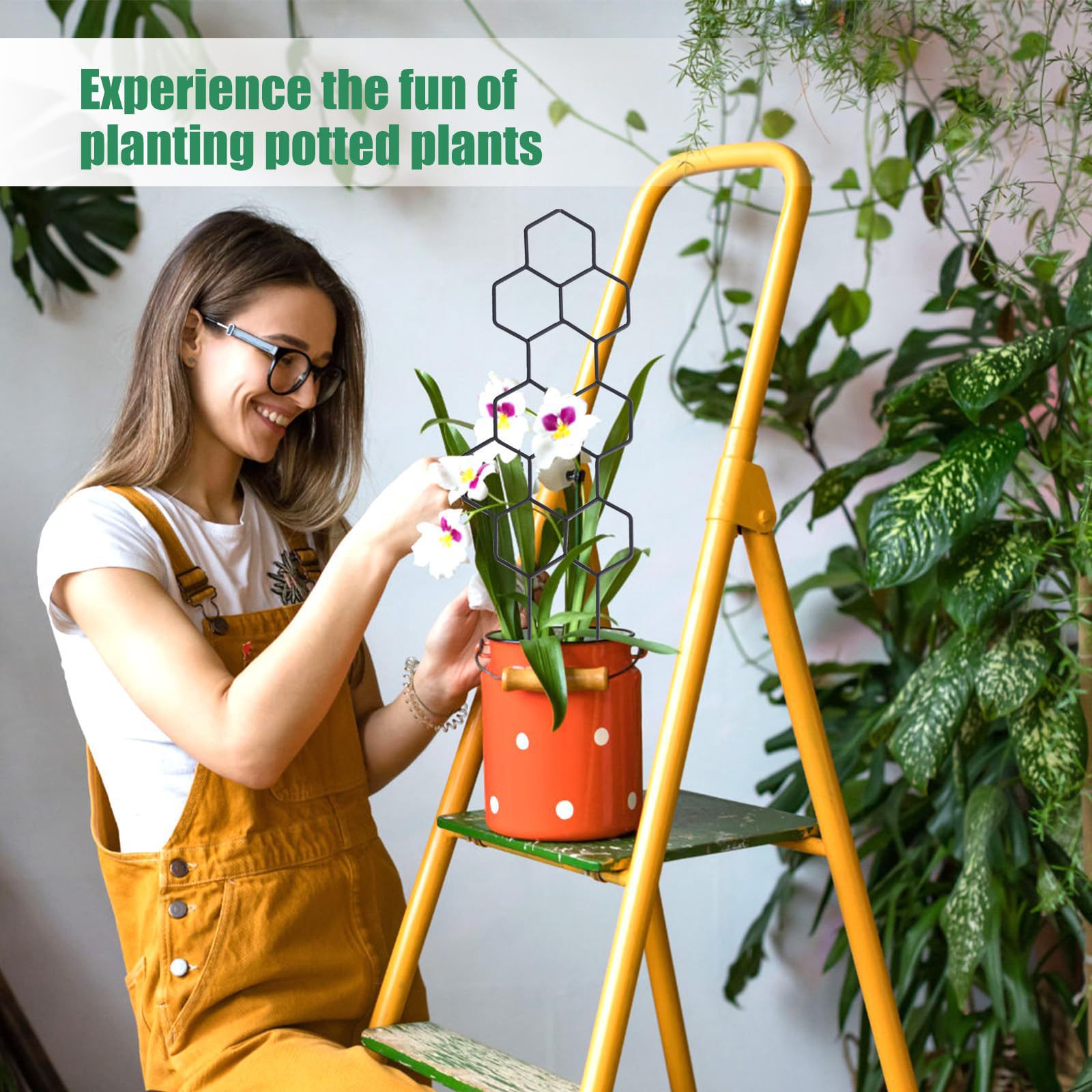 دعامة نباتات بتصميم خلية النحل - مراجعة Indoor Herb Garden وسعره