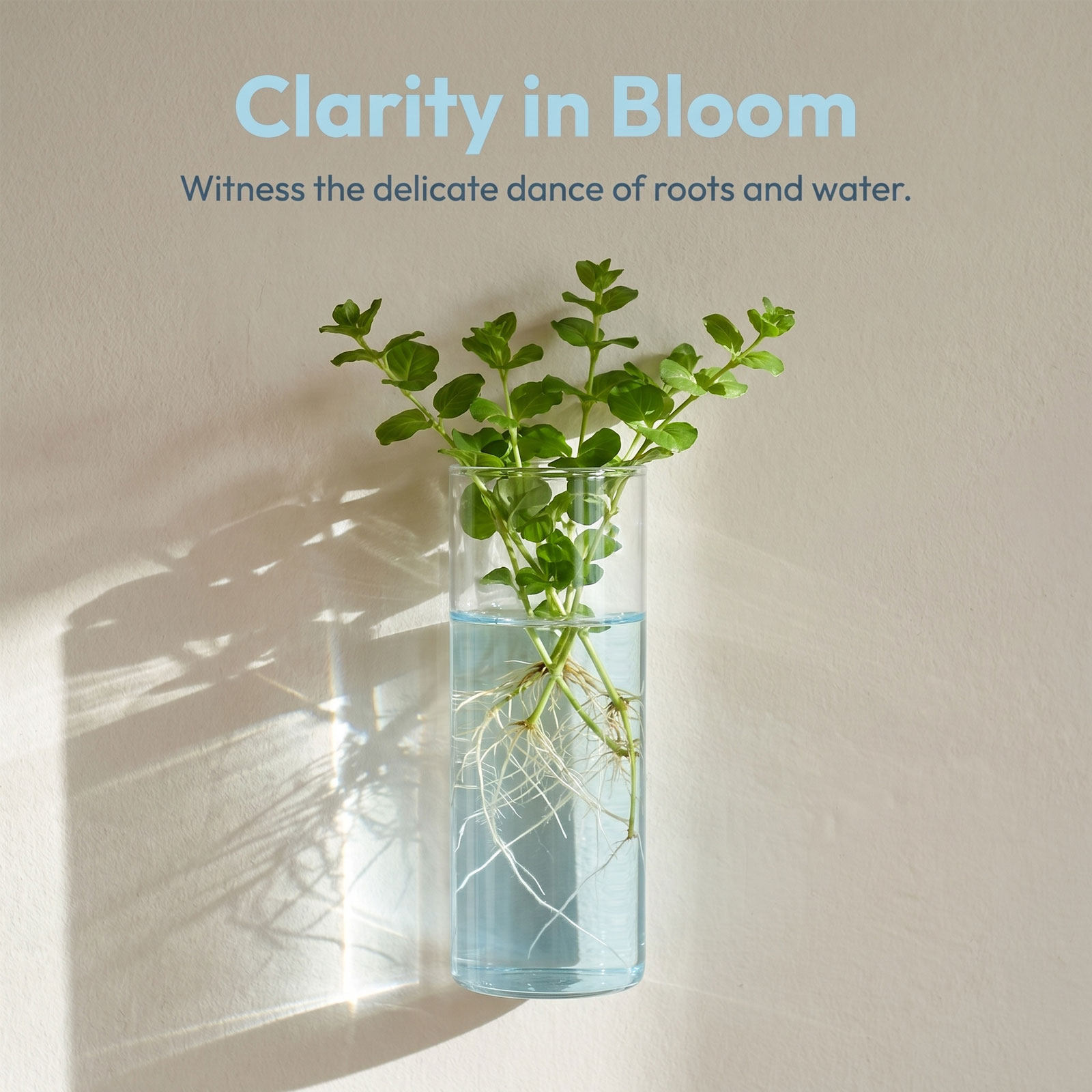 5 قطع من أنابيب الزجاج الأسطوا - مراجعة Vertical Planter وسعره