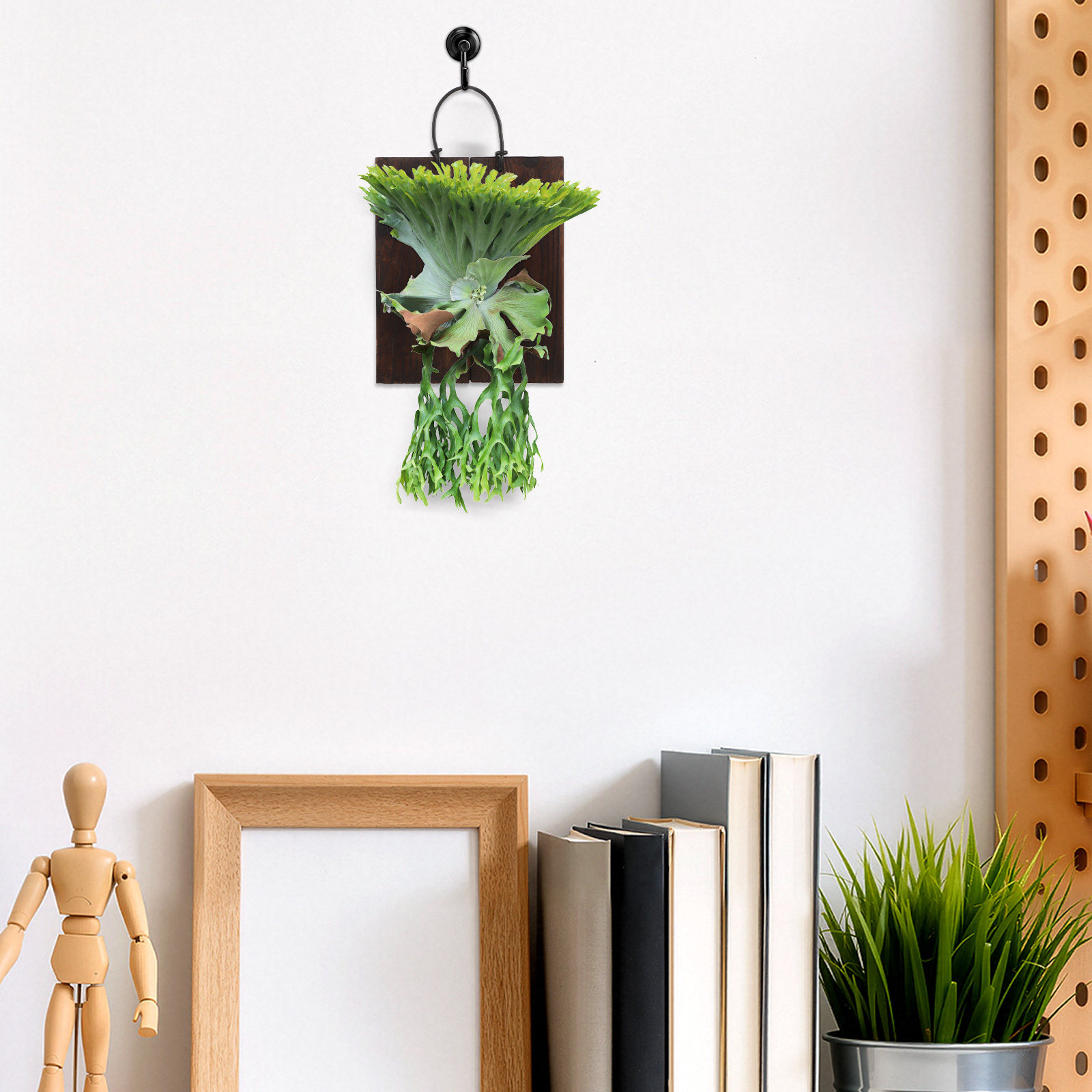 لوحة تثبيت نبات السنجاب القزم، - مراجعة Vertical Planter وسعره